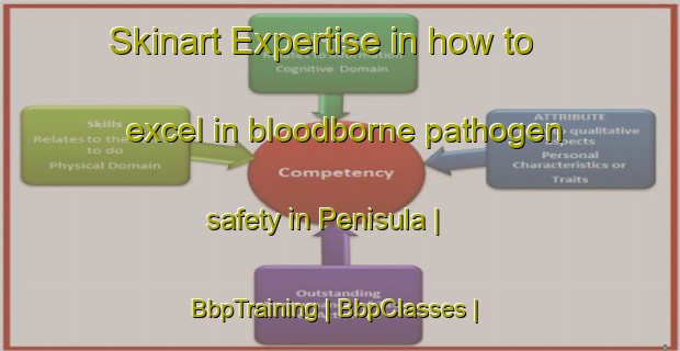 Skinart Expertise in how to excel in bloodborne pathogen safety in Penisula | BbpTraining | BbpClasses | SkinartTraining-United States